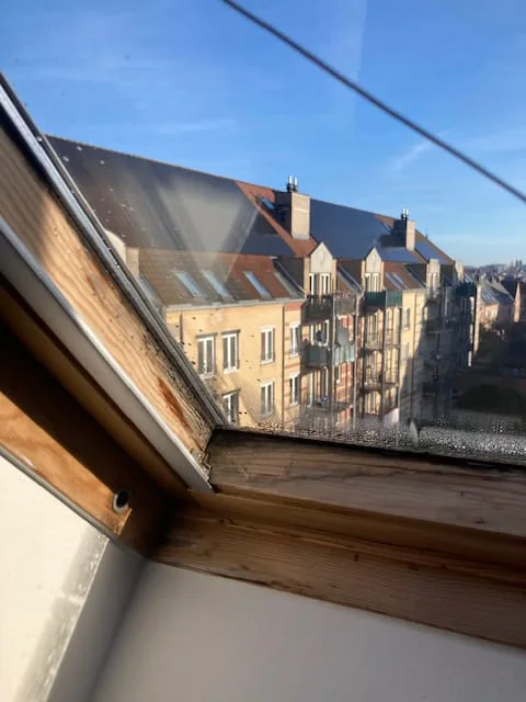 Vitrage et châssis — photographie